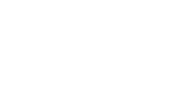 BizPro